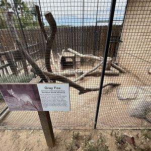 Gray Fox Outdoor Exhibit