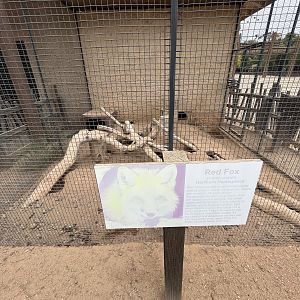 Red Fox Outdoor Exhibit