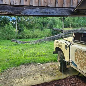 Savanna - Lion enclosure viewing