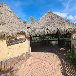Savanna - Viewing area to main Savannah paddock