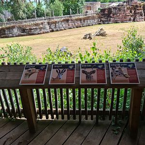 Savanna - Savannah paddock signage