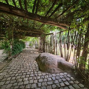 Savanna - Path past main Savannah paddock