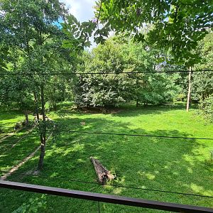 Savanna - African painted dog enclosure