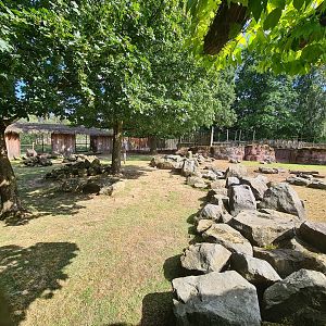 Savanna - Ostrich area in Savannah paddock