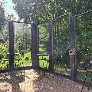 Savanna - African painted dog viewing area in restaurant