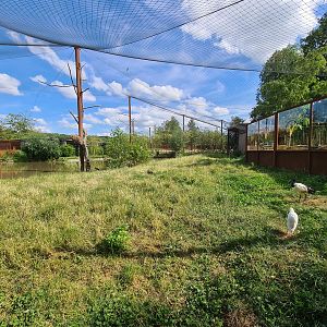Savanna - Flamingo aviary