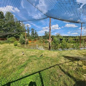 Savanna - Flamingo aviary