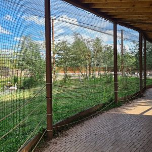 Savanna - Flamingo aviary viewing area