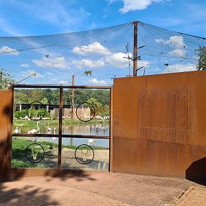 Savanna - Flamingo aviary