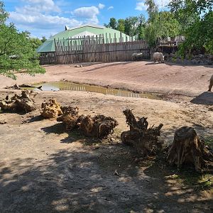 Savanna - Southern White Rhinoceros enclosure