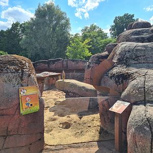 Savanna - Second Meerkat enclosure