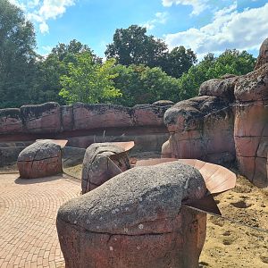 Savanna - Second Meerkat enclosure