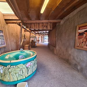 Savanna - Stable viewing room