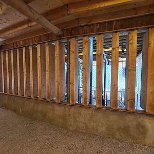 Savanna - Savannah paddock stables