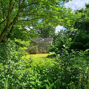 Rainforest - Congo aviary viewed from Gorilla area