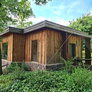 Rainforest - Congo aviary indoor holding