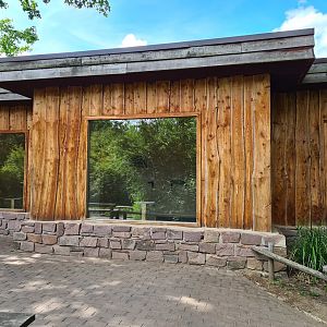 Rainforest - Congo aviary indoor holding