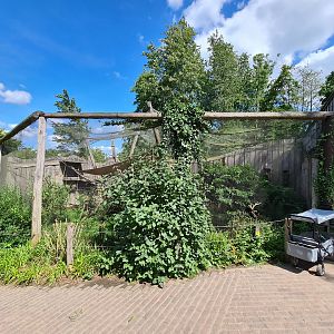 Rainforest - Bolivian squirrel monkey separation aviary