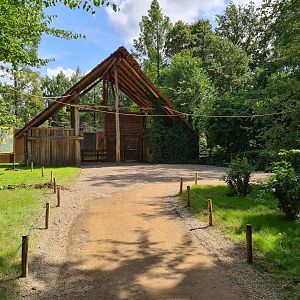 Rainforest - Squirrel monkey forest