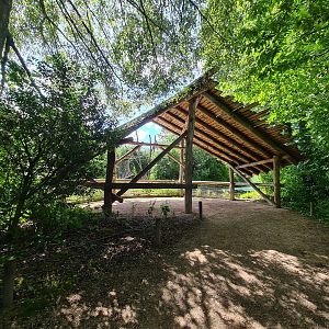 Rainforest - Viewing point in Squirrel monkey forest