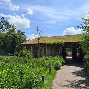 Rainforest - South American primates house