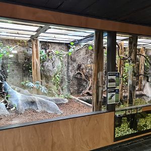 Rainforest - Main enclosure in Tapir Terrarium building