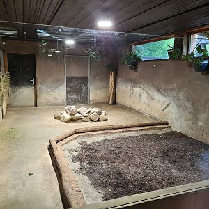 Rainforest - Tapir indoor enclosure in Tapir Terrarium building