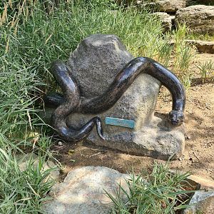 Rainforest - Anaconda statue outside Tapir Terrarium building