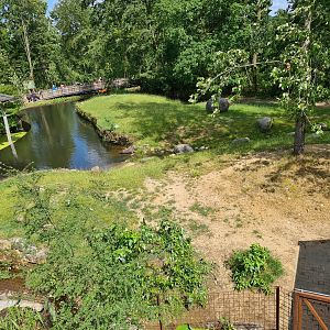 Rainforest - Lowland tapir enclosure