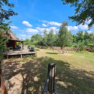Rainforest - Pampas enclosure