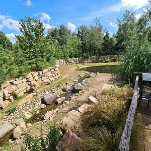 Rainforest - Pampas enclosure