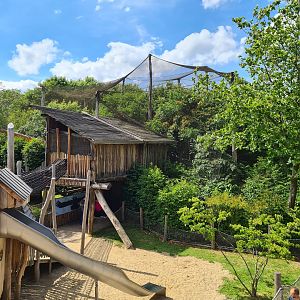 Rainforest - Playground and Puna aviary