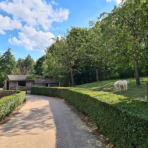 Limburg farm - Shetland pony yard