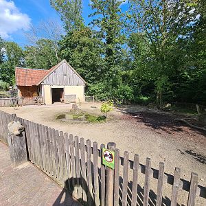 Limburg farm - Kune-Kune yard