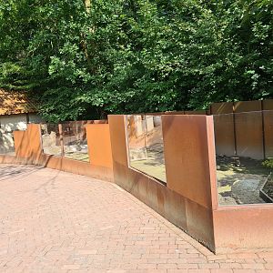 Limburg farm - Flemish giant enclosure