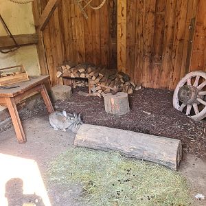 Limburg farm - Flemish giant indoor enclosure