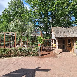Limburg farm - Chicken and Domestic pigeon aviary