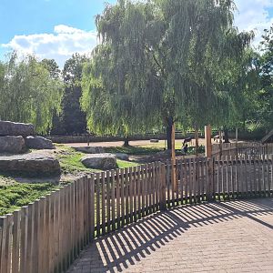 Limburg farm - Goat and Donkey yard