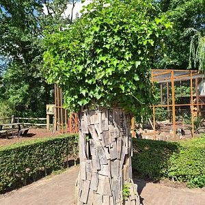 Limburg farm - Creative tree sculpture