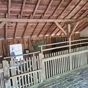 Limburg farm - Goat and Donkey indoor area
