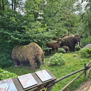 Taiga  - Ice age mammals statues