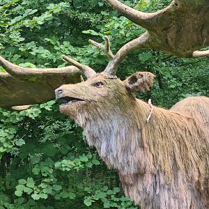 Taiga - Megaloceros statue