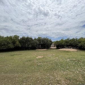 Miniature Donkey Exhibit