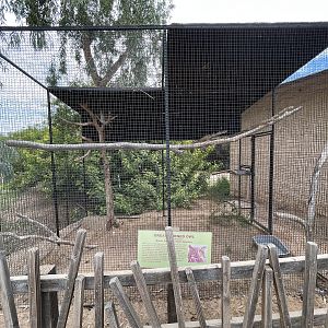 Great Horned Owl Aviary