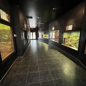 South American House - 10 exhibits