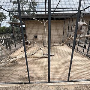 Tayra Outdoor Exhibit