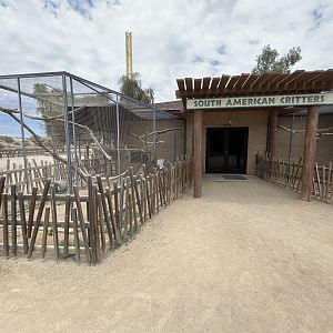 South American House - 10 exhibits