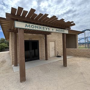 Monkeys and More - 6 exhibits