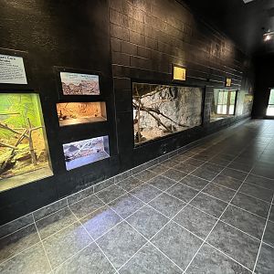 Monkeys and More - 6 exhibits