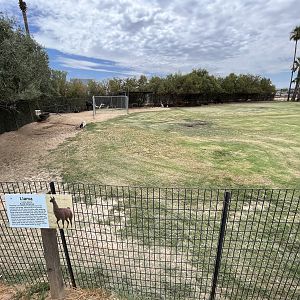 Llama Exhibit